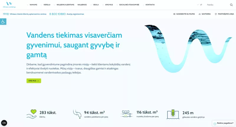 Internetinė svetainė – vv.lt